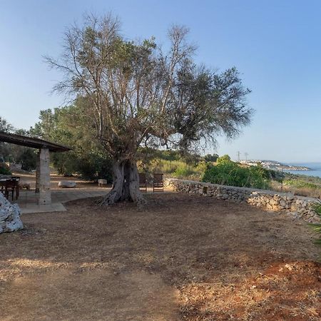 Levante E Libeccio Villette Vista Mare - Marina Di Andrano Exteriér fotografie