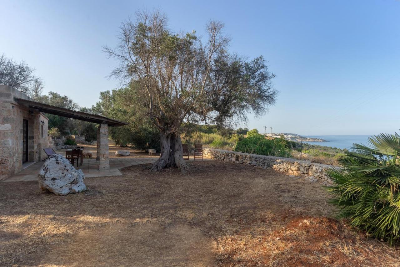 Levante E Libeccio Villette Vista Mare - Marina Di Andrano Exteriér fotografie