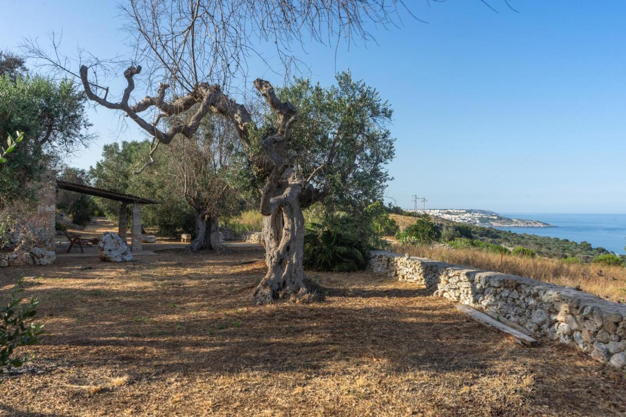 Levante E Libeccio Villette Vista Mare - Marina Di Andrano Exteriér fotografie