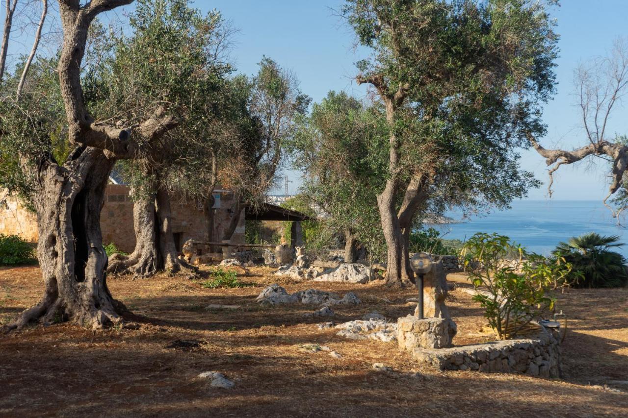 Levante E Libeccio Villette Vista Mare - Marina Di Andrano Exteriér fotografie